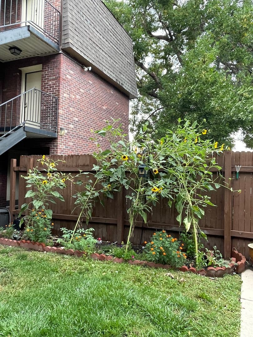 Englewood Apartment: 3575 S Pearl St