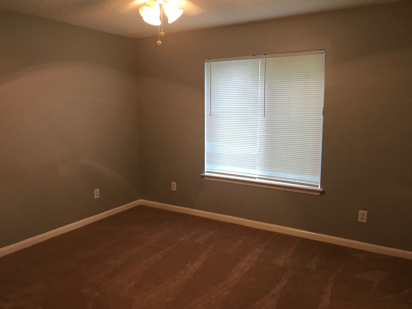 Raleigh Apartment: 1511 Graduate Lane