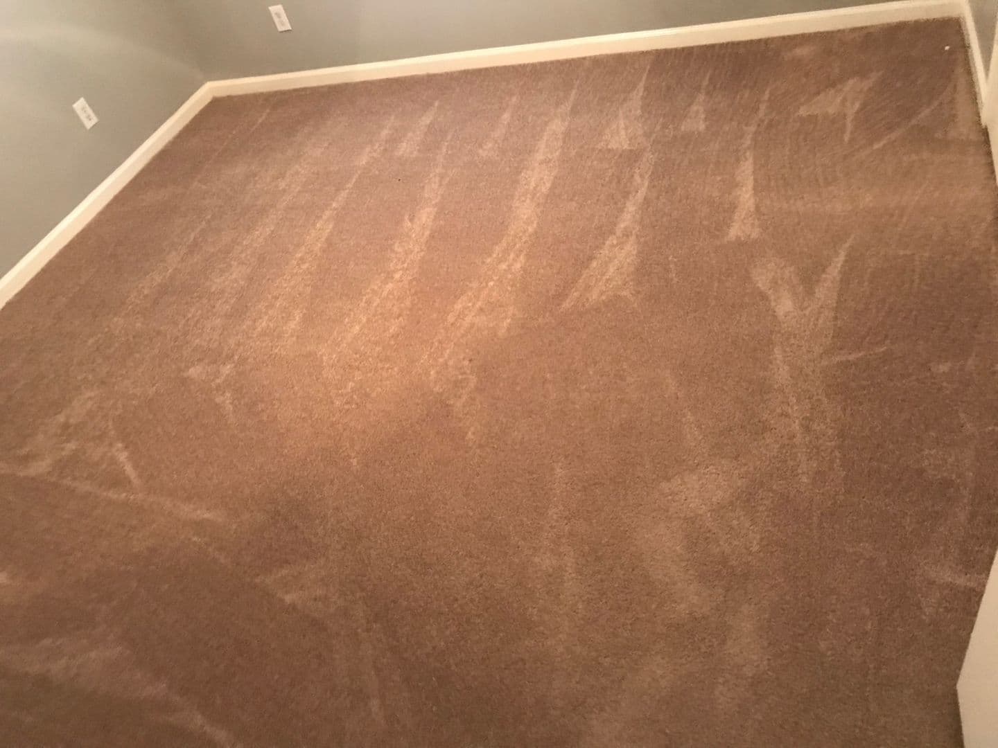 Raleigh Apartment: 1511 Graduate Lane