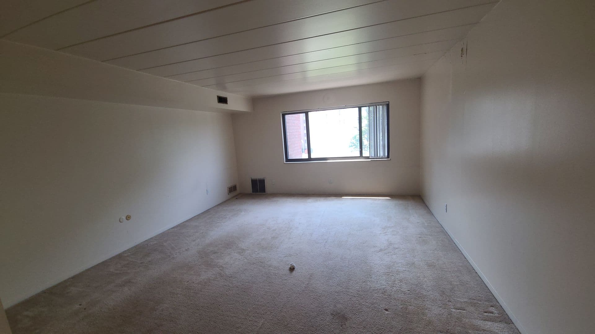 Carnegie Apartment: 101 Governors Lane