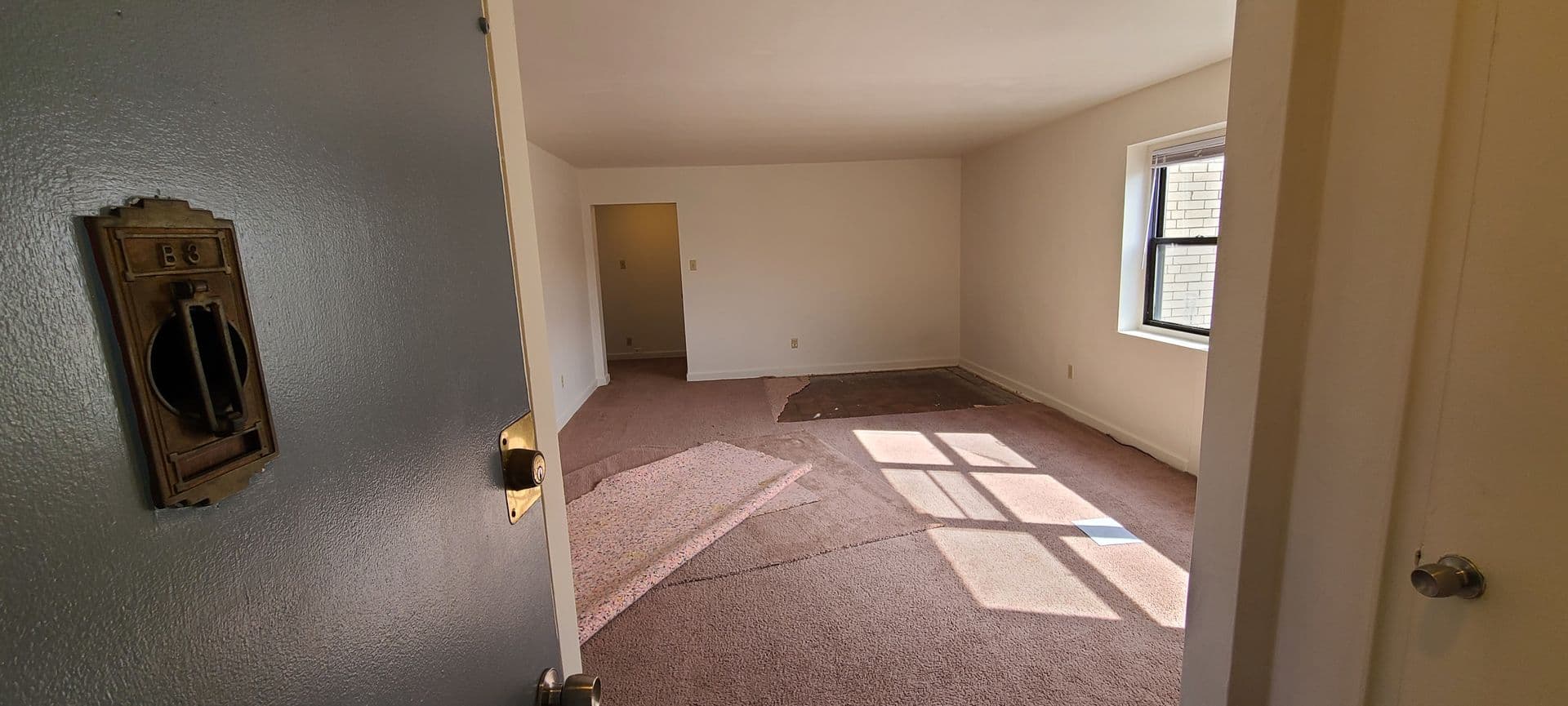 Pittsburgh Apartment: 221 Buchanan Place