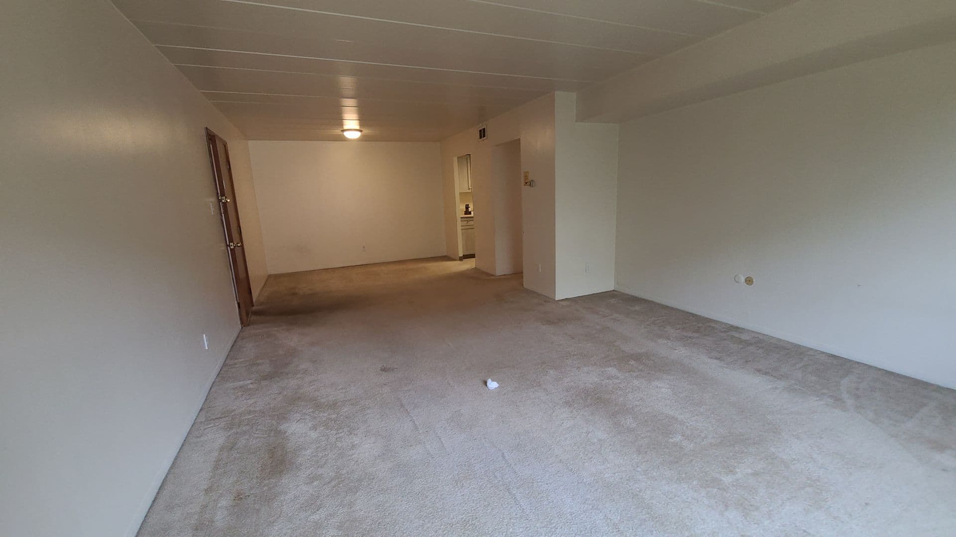 Carnegie Apartment: 101 Governors Lane