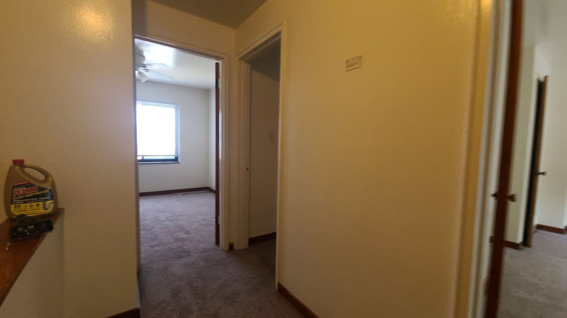 Pittsburgh Apartment: 135 Abbeyville Rd