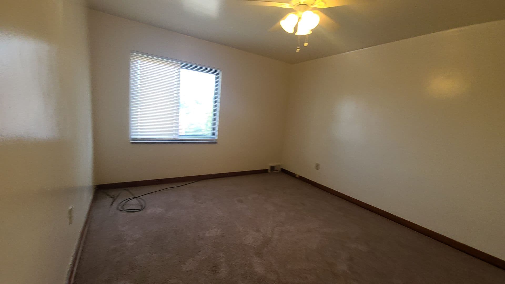 Pittsburgh Apartment: 135 Abbeyville Rd