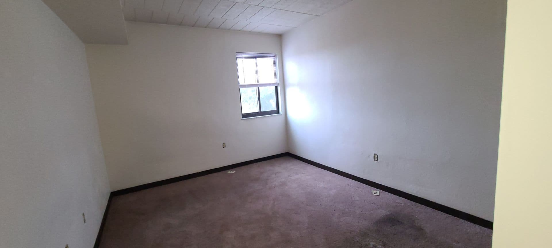 Pittsburgh Apartment: 10 N. Meadowcroft Ave
