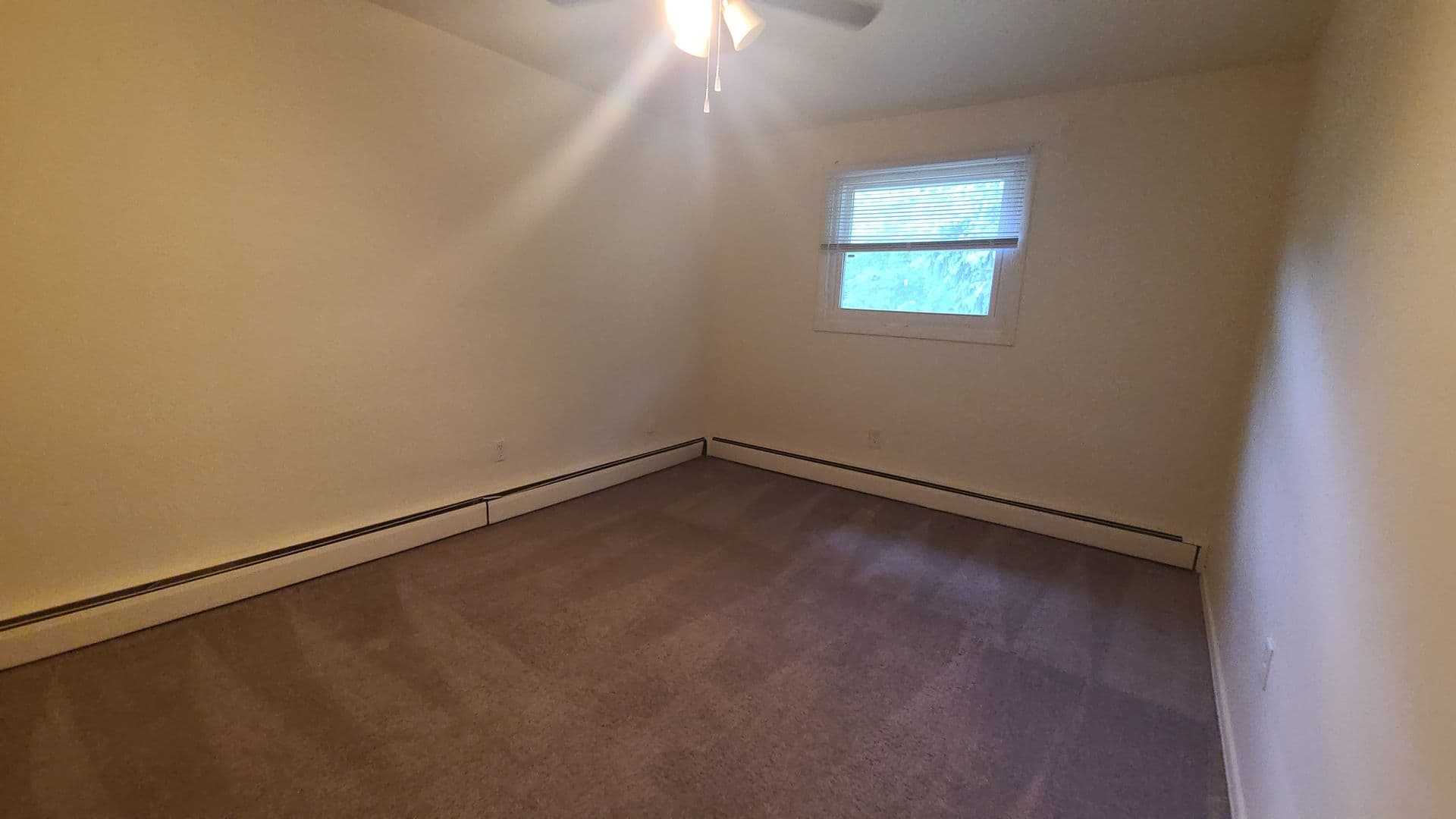 Pittsburgh Apartment: 3999 Canal Street
