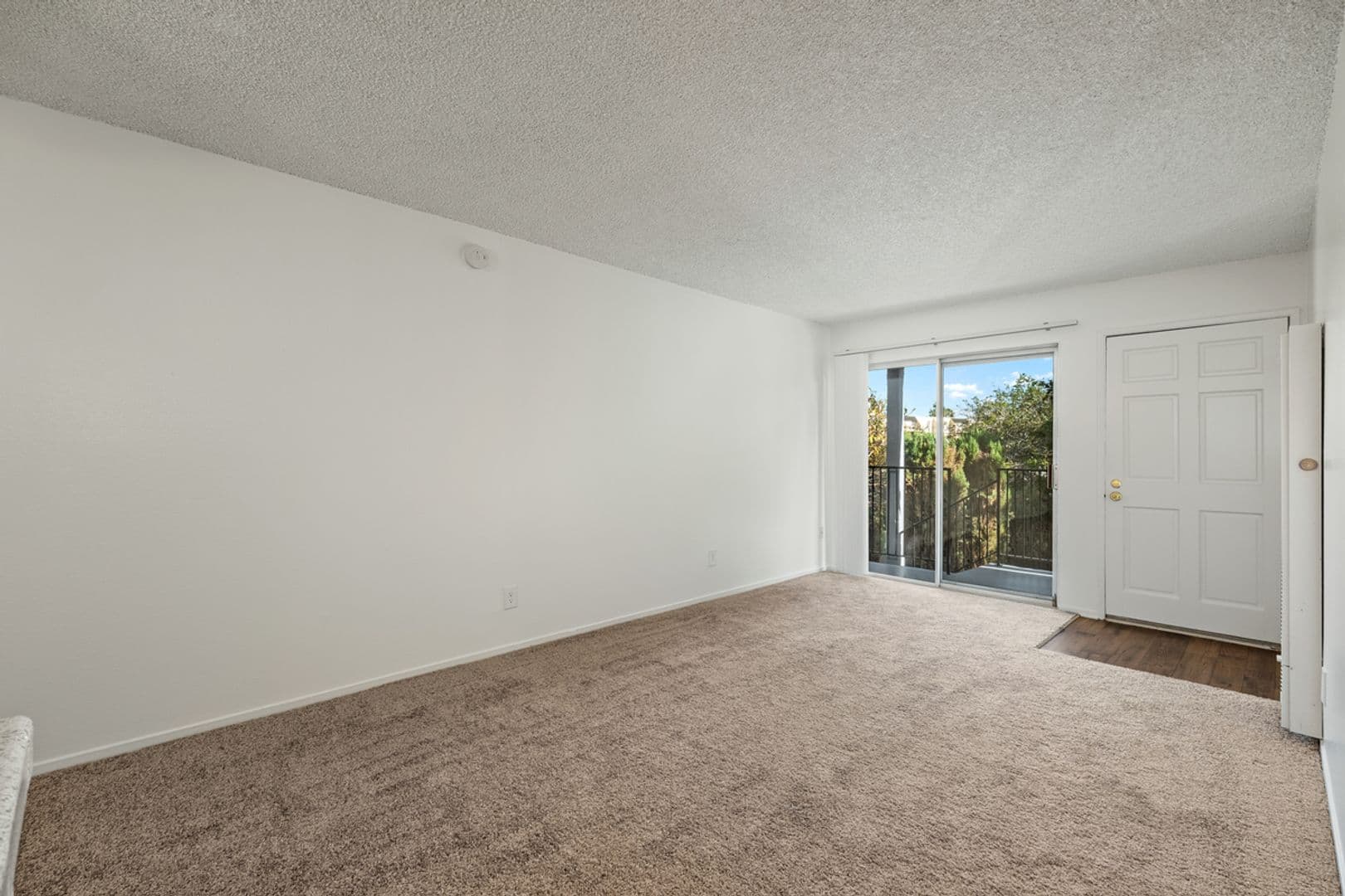San Pedro Apartment: 515 South Meyler St., 917 & 919 West 5th Street