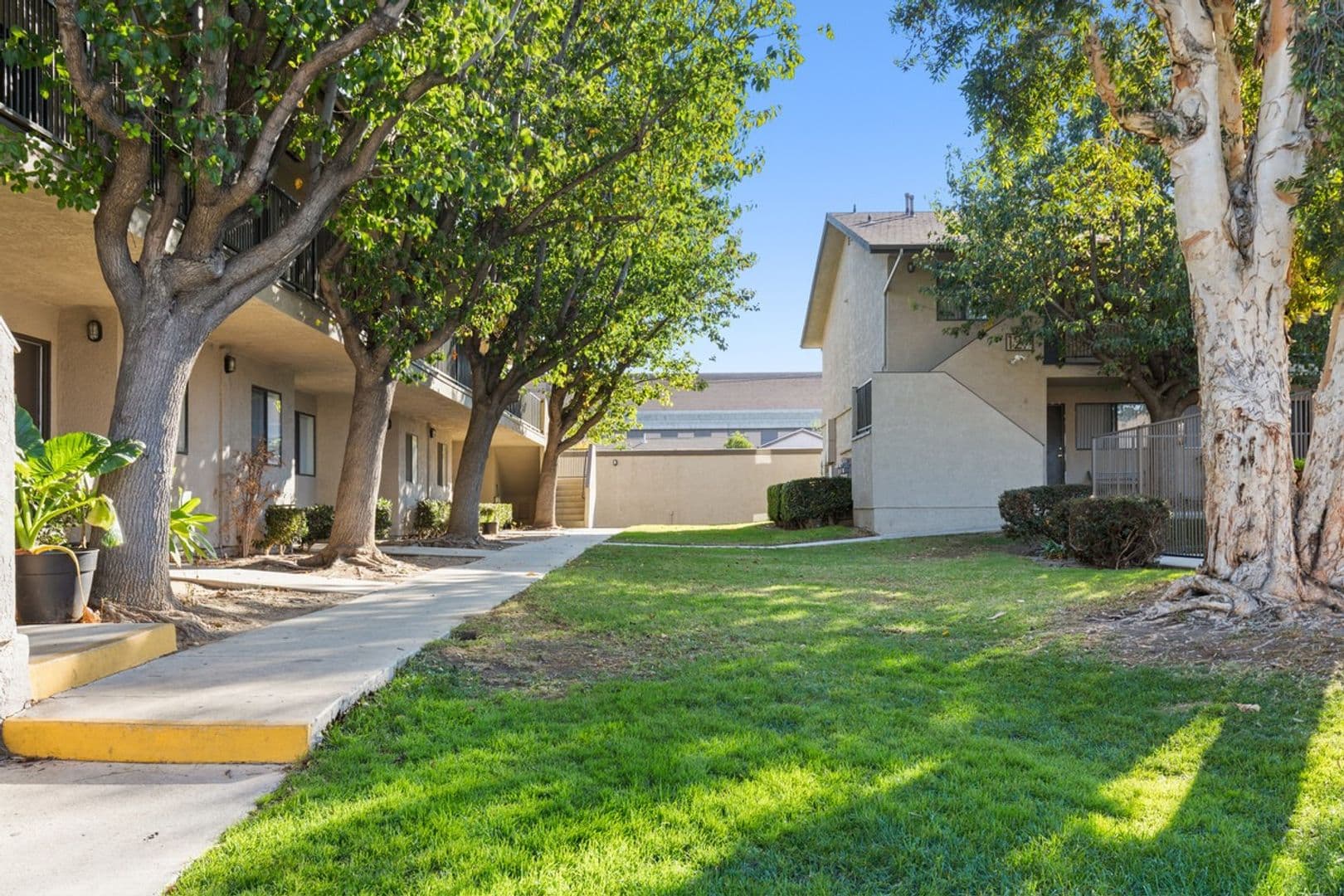 Corona Apartment: 125  N. Buena Vista Ave
