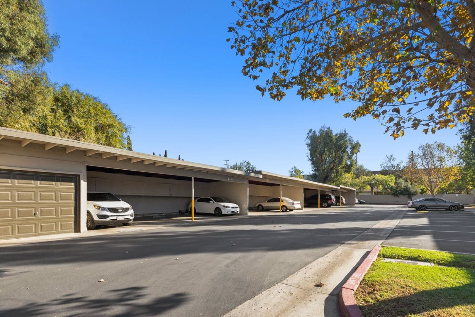 Corona Apartment: 125  N. Buena Vista Ave