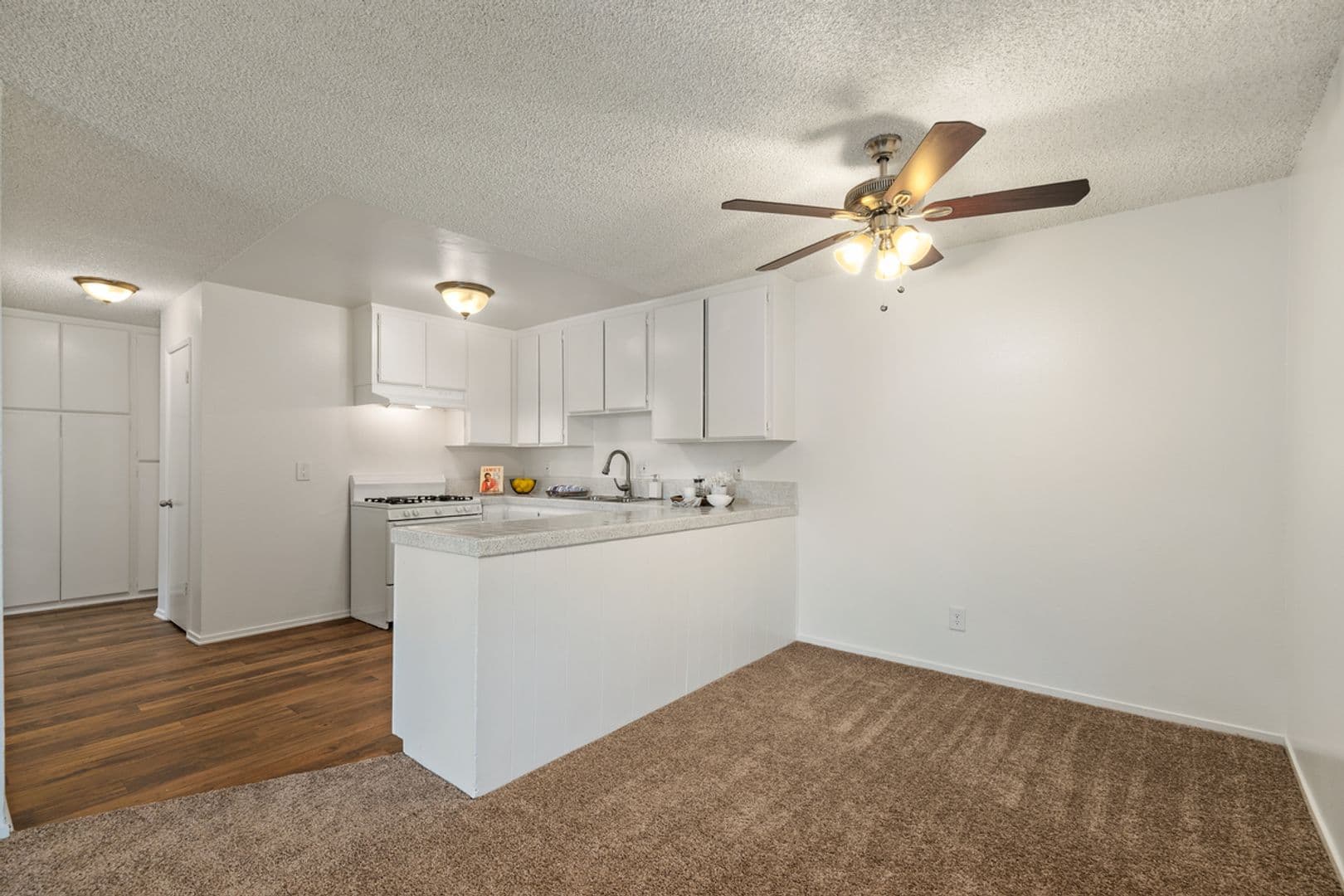 San Pedro Apartment: 515 South Meyler St., 917 & 919 West 5th Street