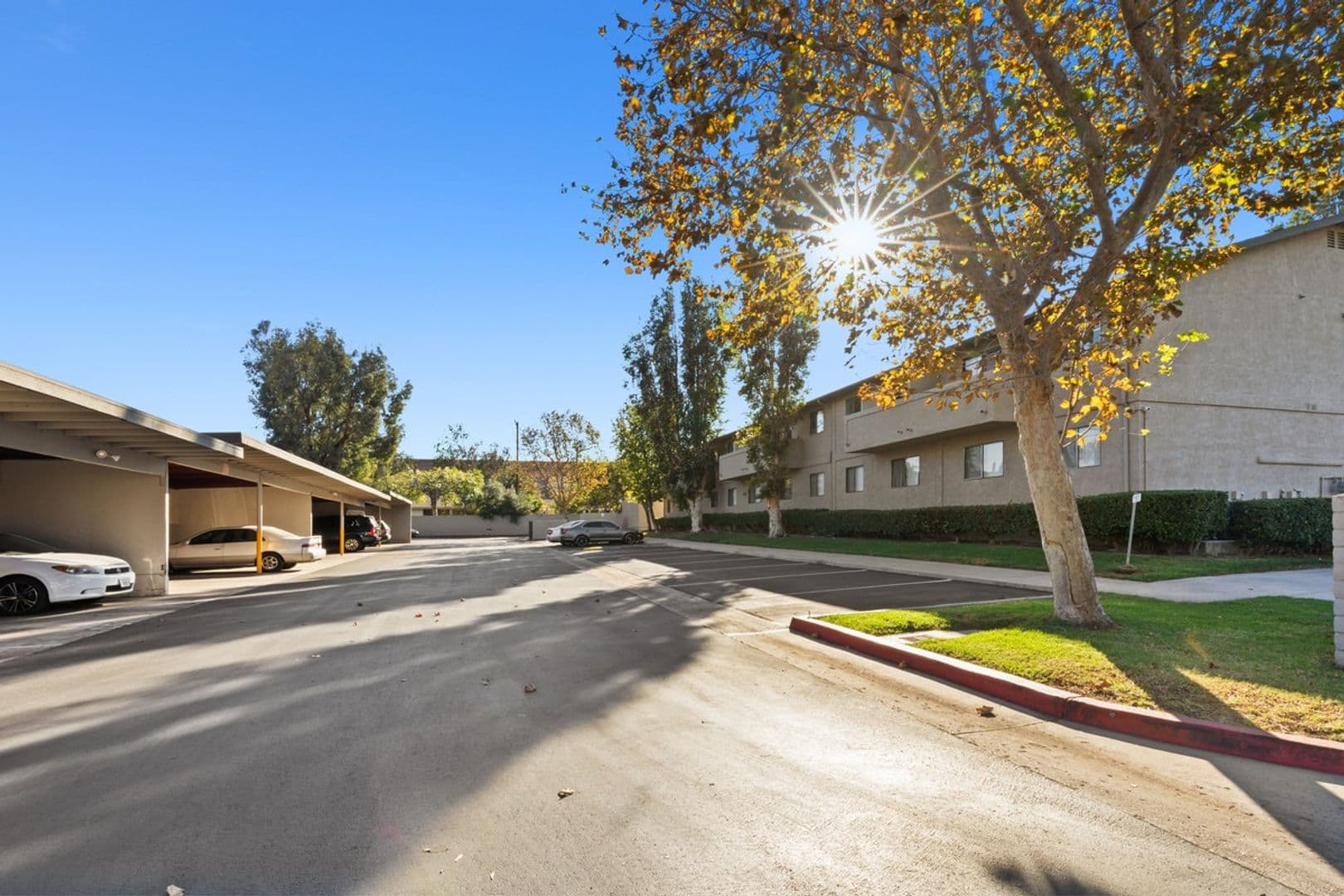 Corona Apartment: 125  N. Buena Vista Ave