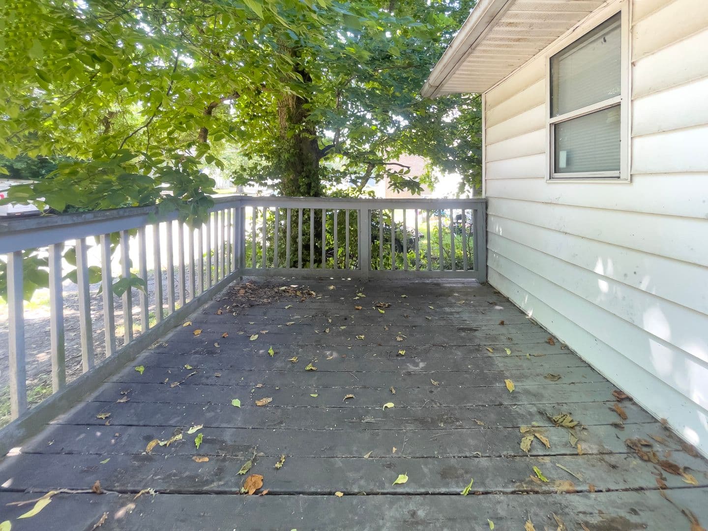 Muncie Apartment: 815 W University Ave