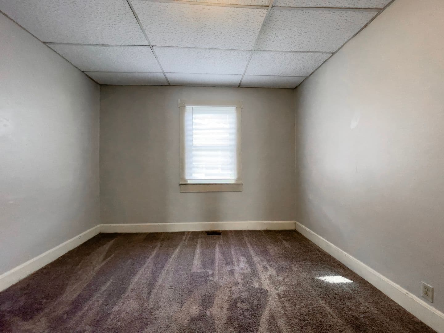 Muncie Apartment: 204 N Dill St