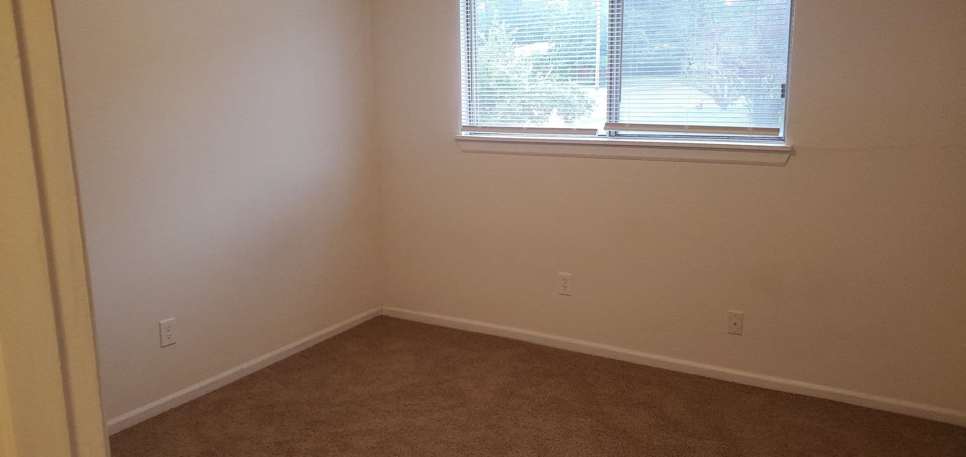 Columbia Apartment: 924 W Texas Ave