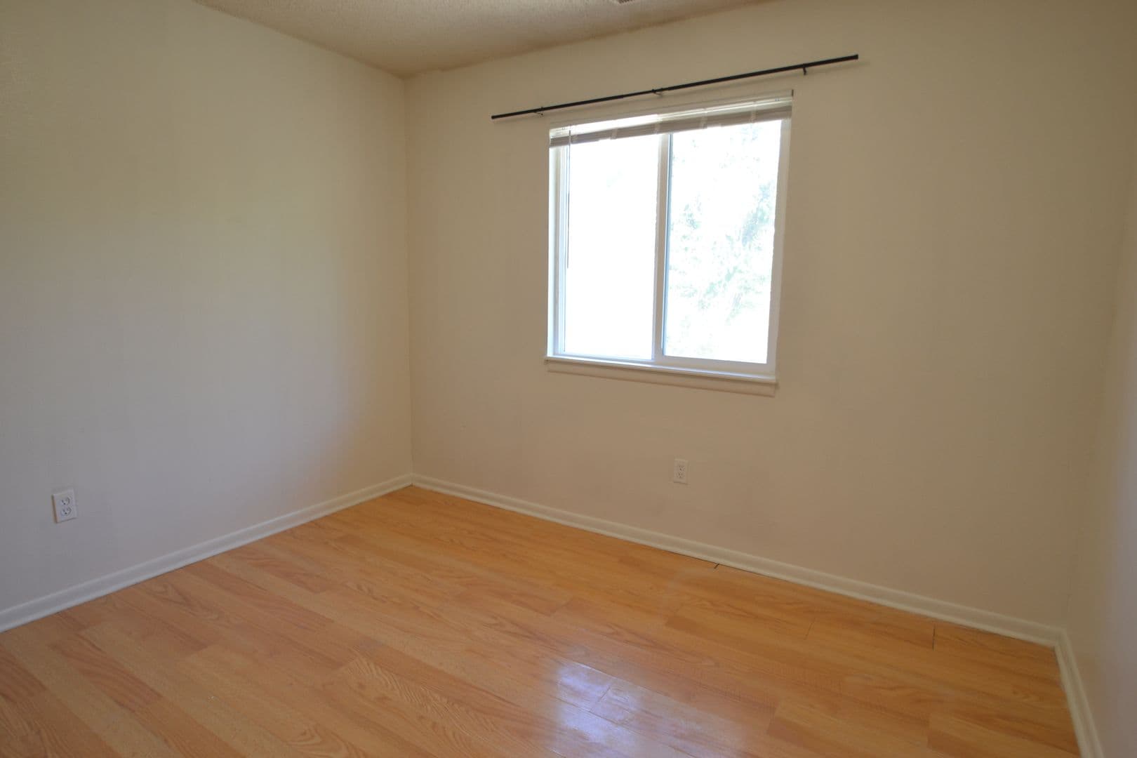 Colorado Springs Apartment: 1115 Chiricahua Loop