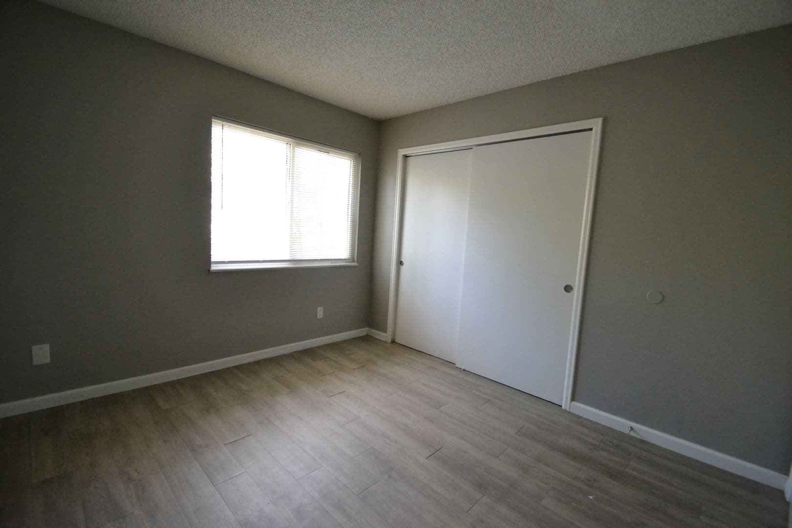 Colorado Springs Apartment: 2920 Straus Lane