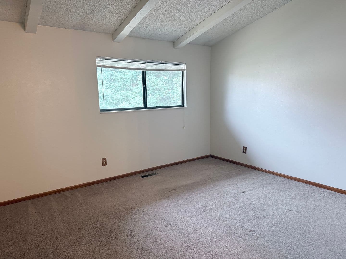 Colorado Springs House: 5026 Masheena Lane