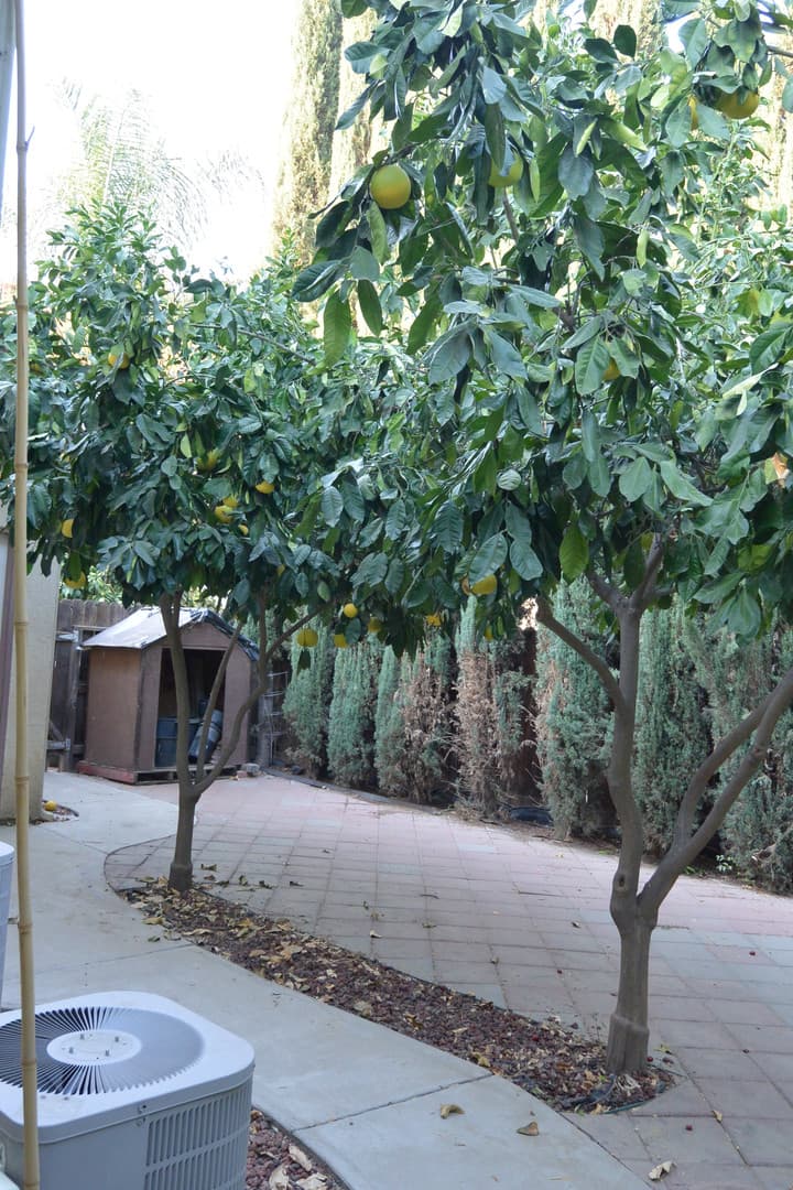 Visalia House: 2222 N. Quincy