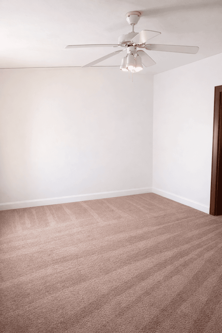 Minneapolis Apartment: 813 University Ave SE
