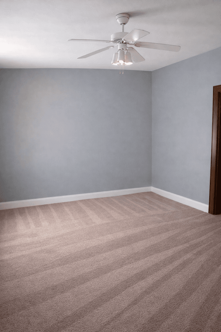Minneapolis Apartment: 813 University Ave SE