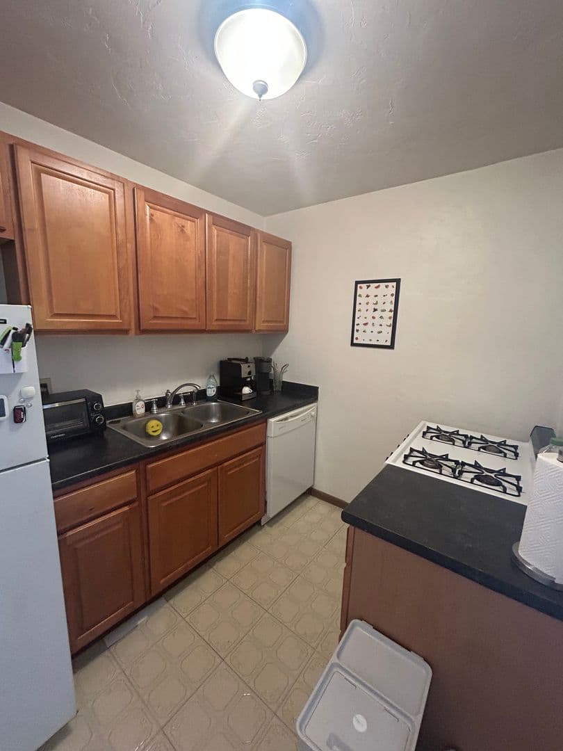 Minneapolis Apartment: 1327 7th St SE