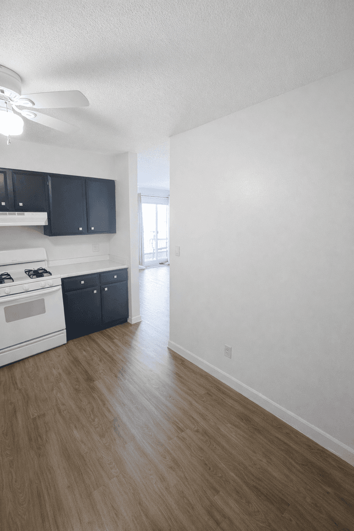 Minneapolis Apartment: 1004 7th St SE