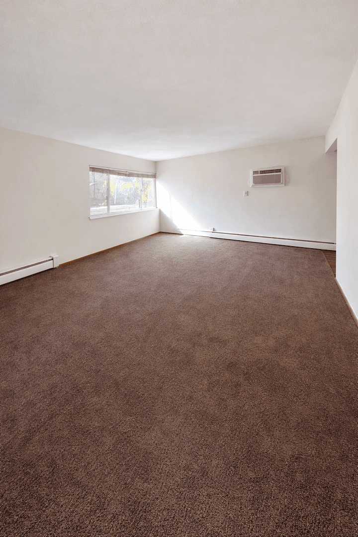 Minneapolis Apartment: 1117 7th St SE