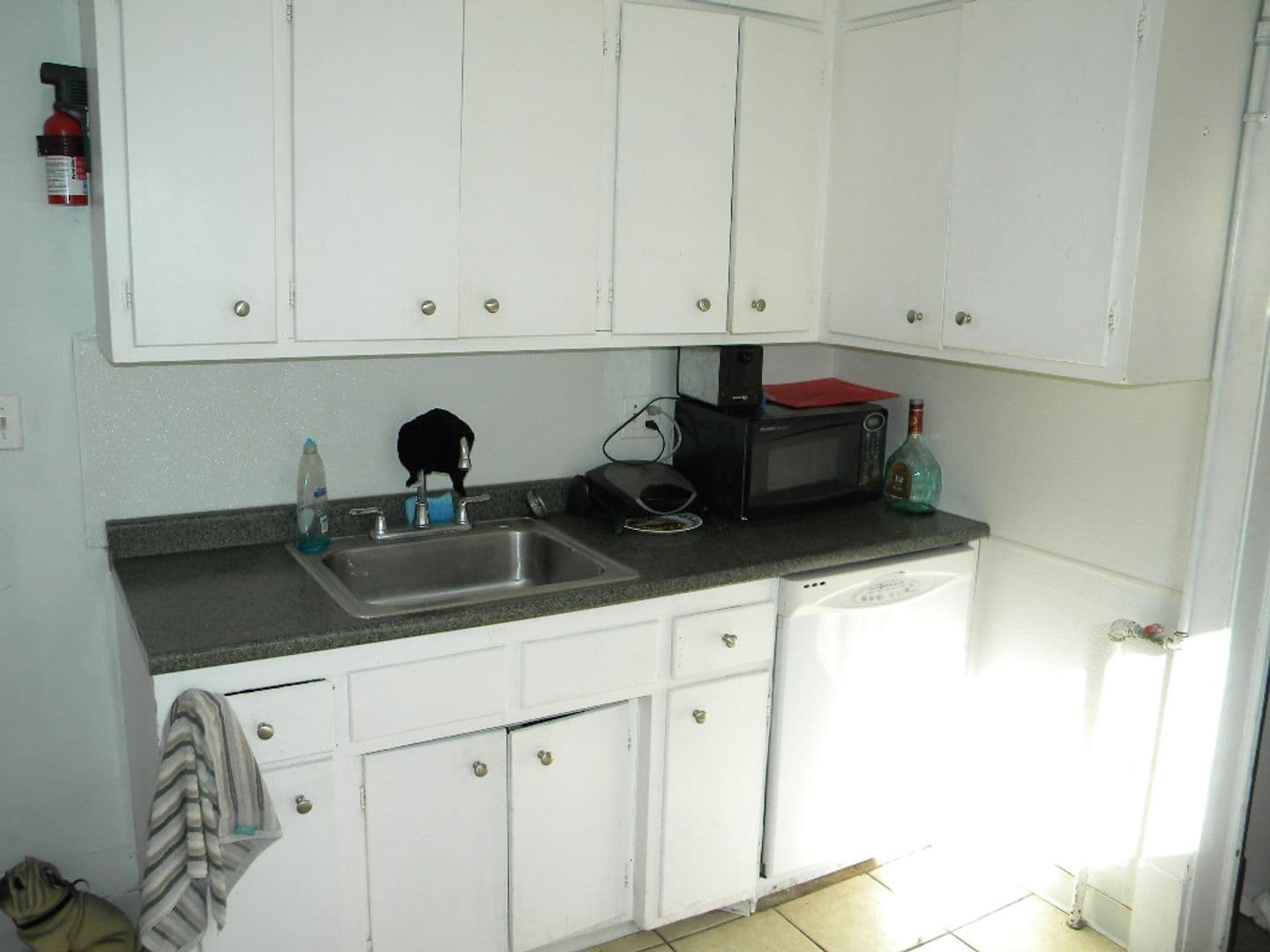 Minneapolis Apartment: 958 15th Ave SE