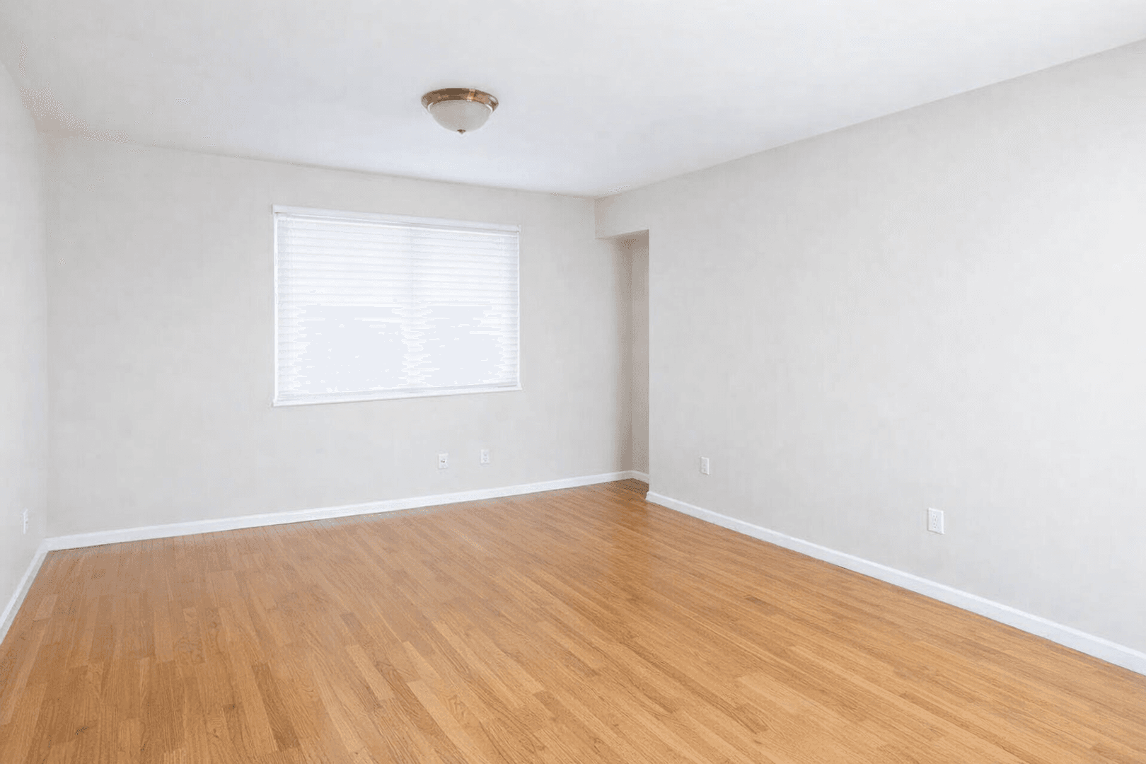 Minneapolis Apartment: 813 University Ave SE