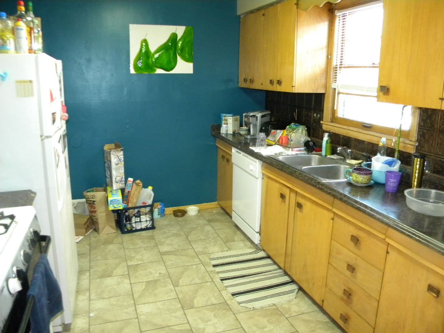 Minneapolis Apartment: 1095 15th Ave SE