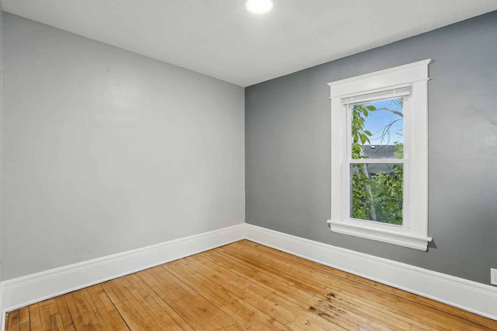 St. Paul Apartment: 427-429 Dewey St