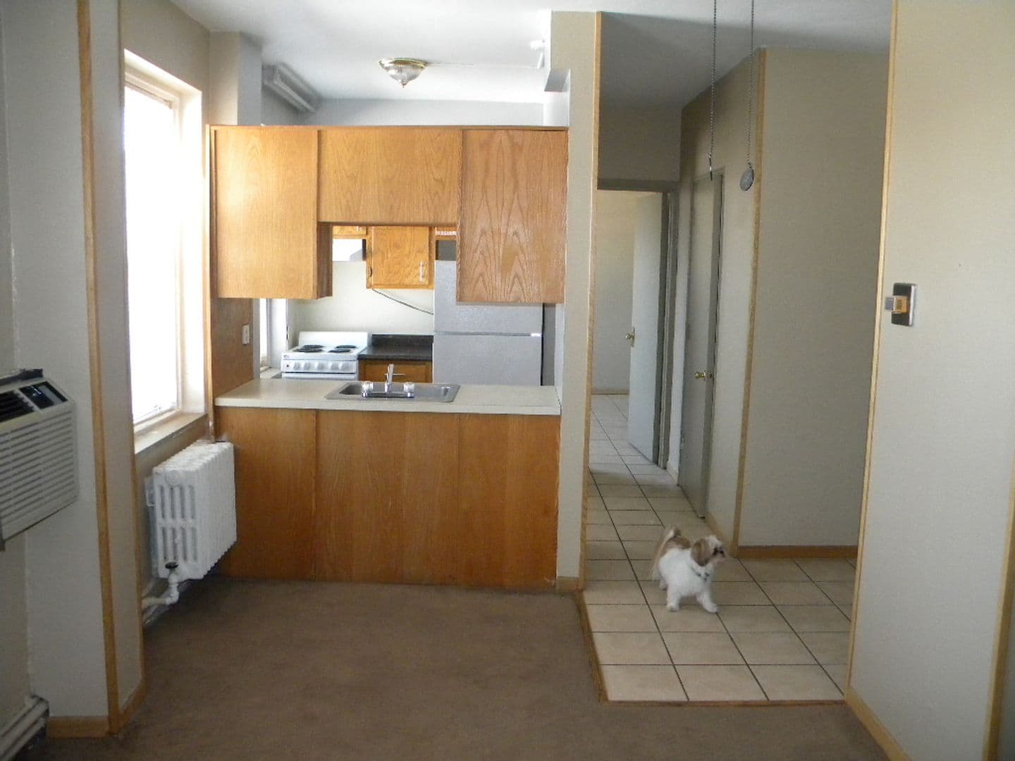 Minneapolis Apartment: 414 7th Ave SE