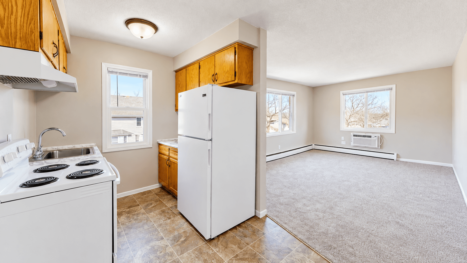 Minneapolis Apartment: 801 21st Avenue North