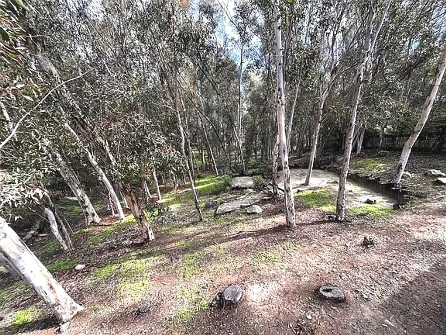 Lake Forest House: 24851 Rollingwood Rd.