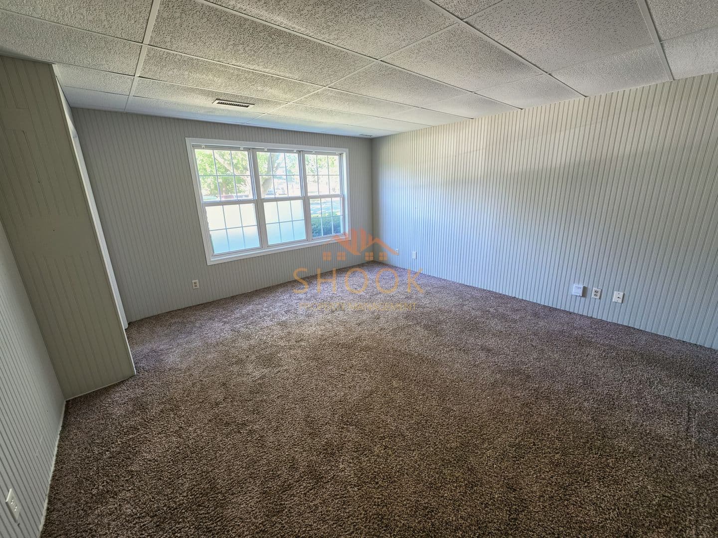 Lafayette Apartment: 409-411 Park Ave