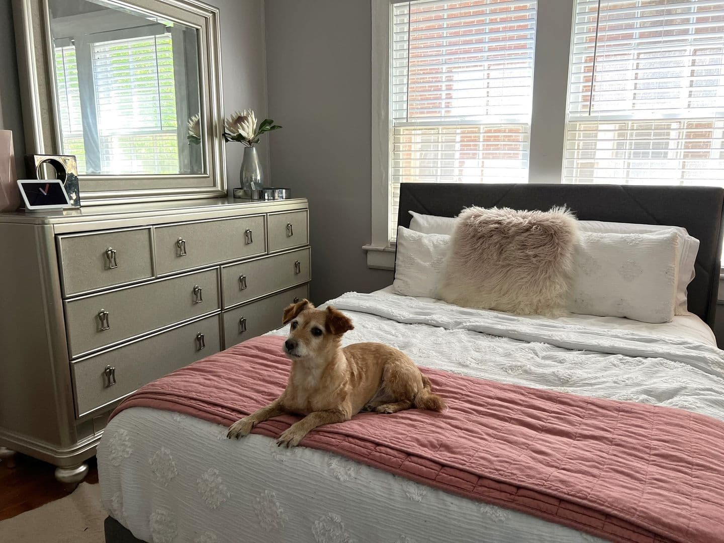 Atlanta Apartment: 869 & 873 Charles Allen Drive