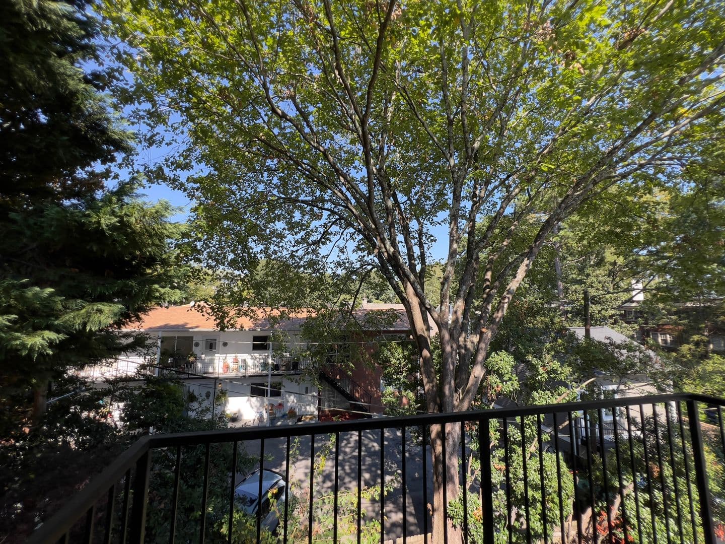 Atlanta Apartment: 282 9th Street