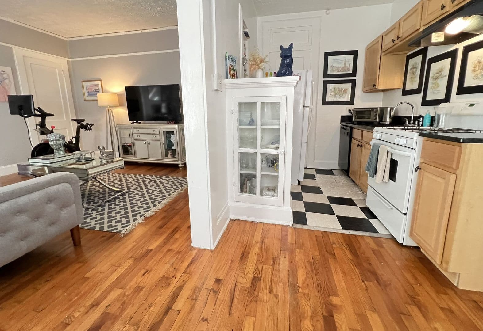 Atlanta Apartment: 869 & 873 Charles Allen Drive