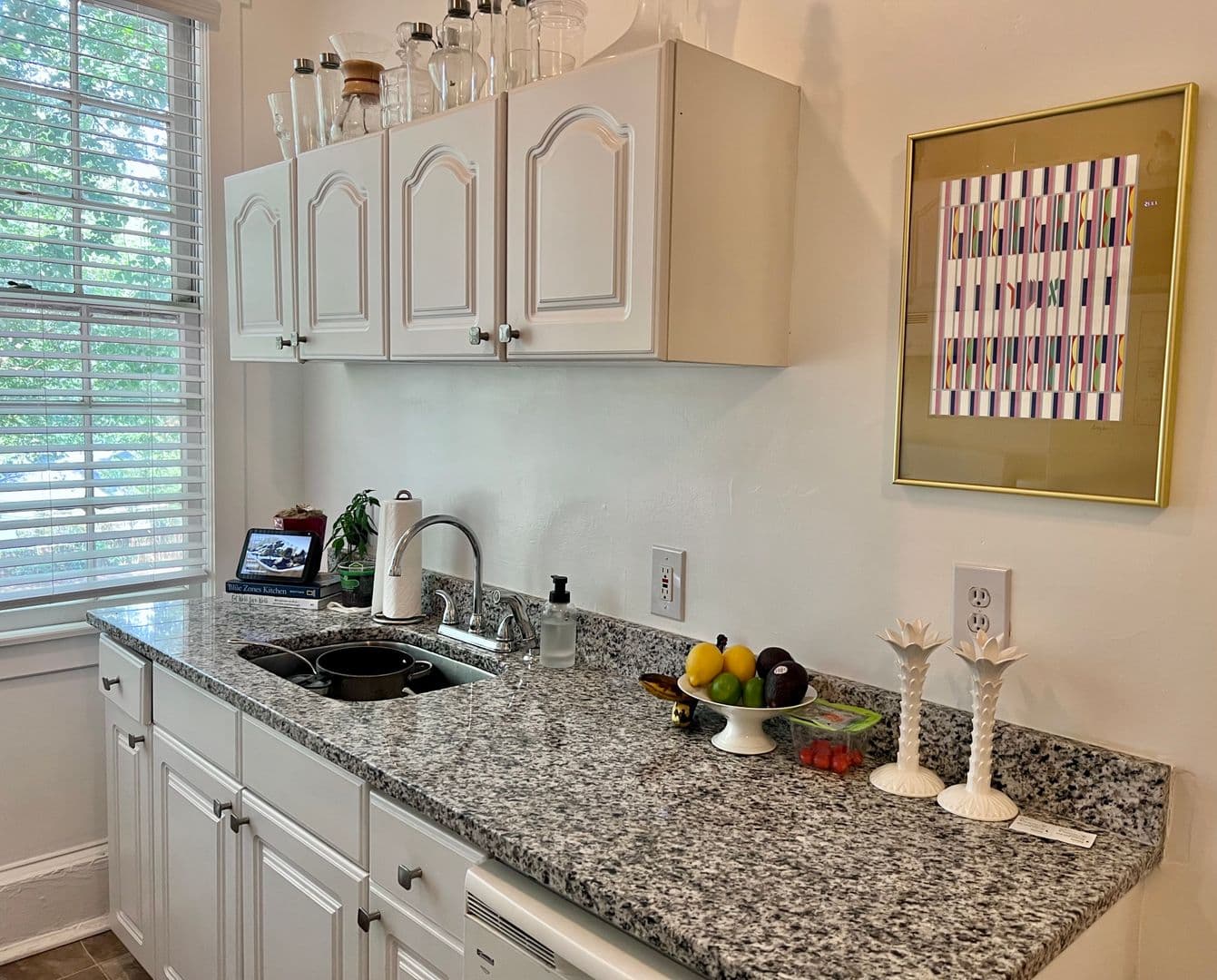 Atlanta Apartment: 1229 Virginia Avenue NE