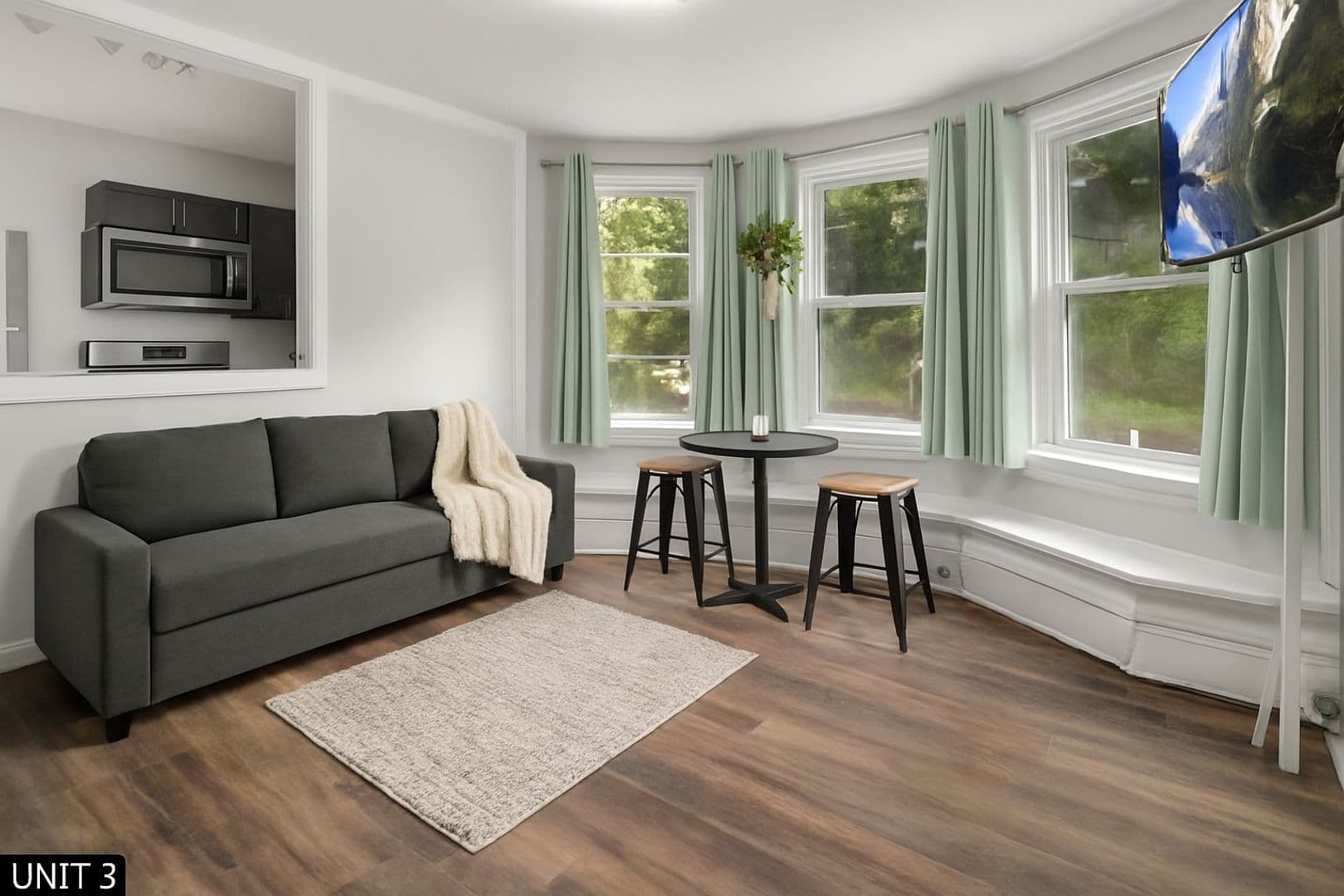 Ithaca Apartment: 710 Stewart Ave