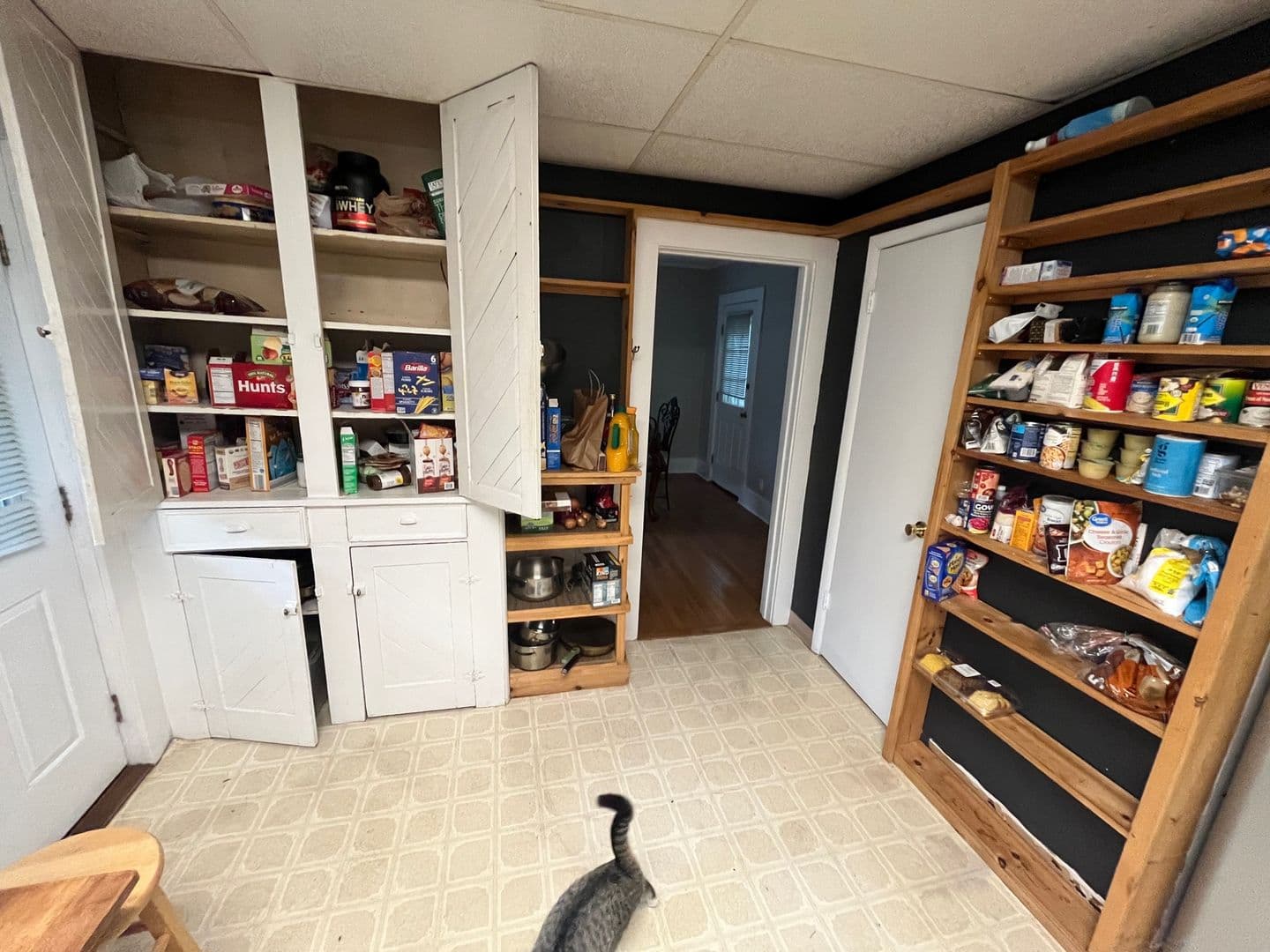 Ithaca Apartment: 414 E Marshall St
