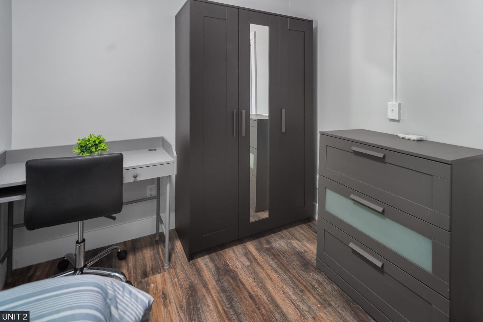 Ithaca Apartment: 109 Williams St