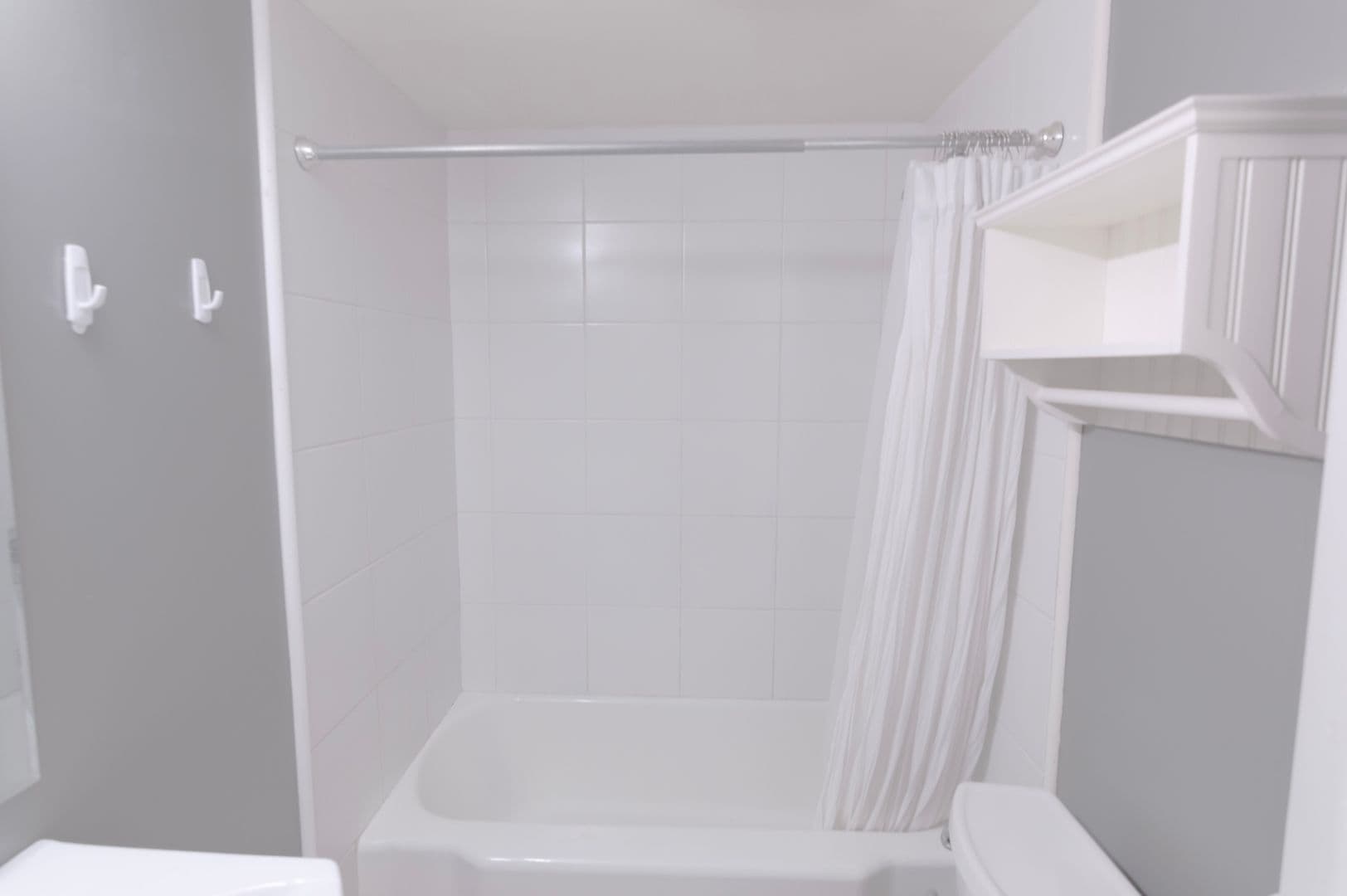 Ithaca Apartment: 217 Columbia St.