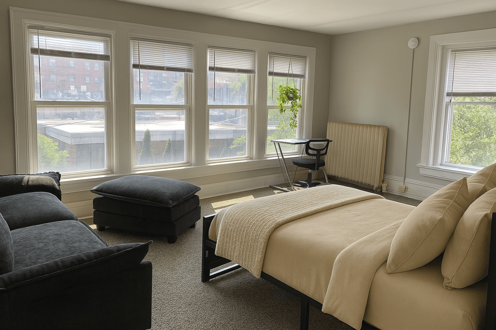 Ithaca Apartment: 308 E Seneca St