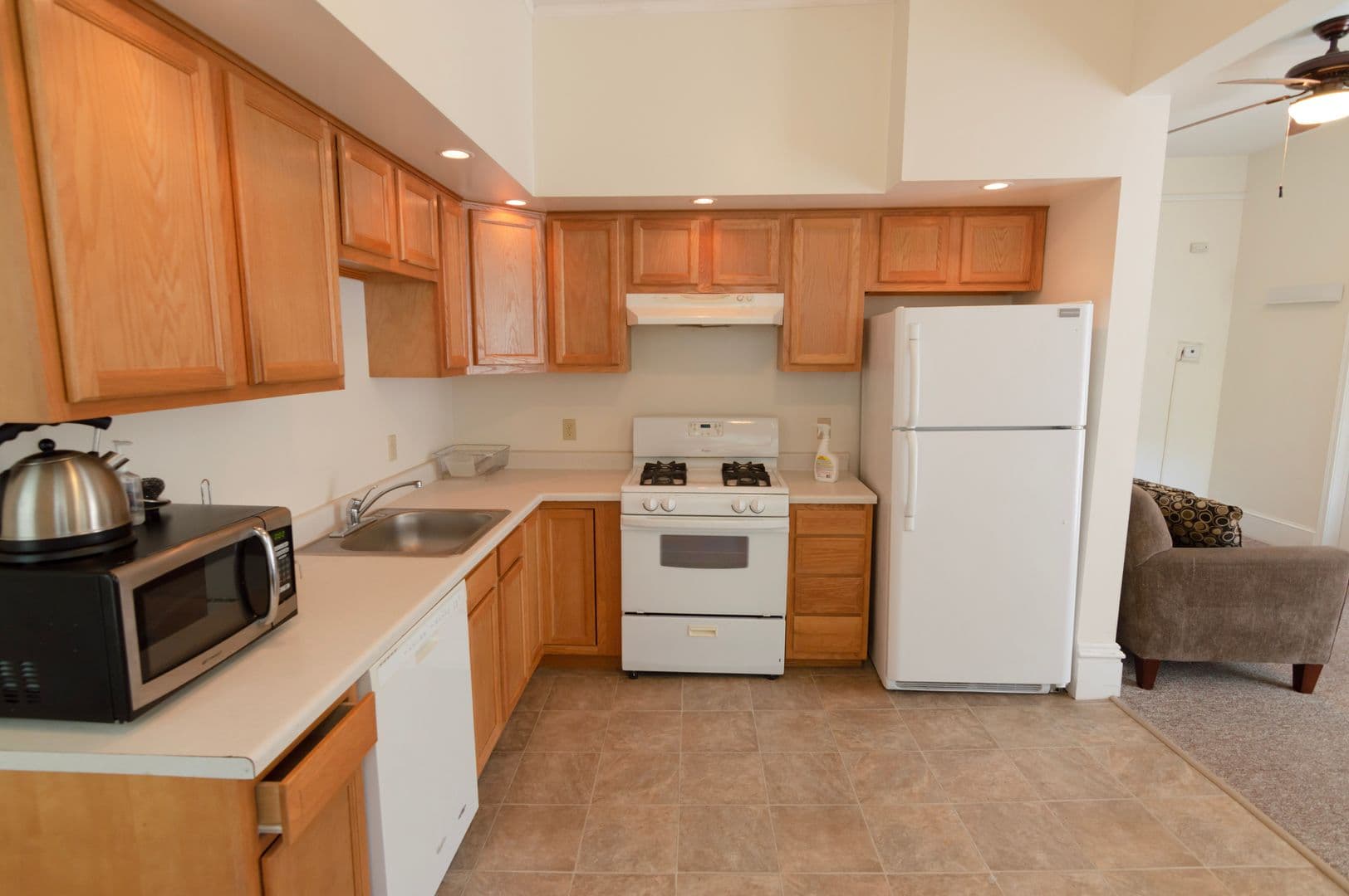 Ithaca Apartment: 232 S Geneva St