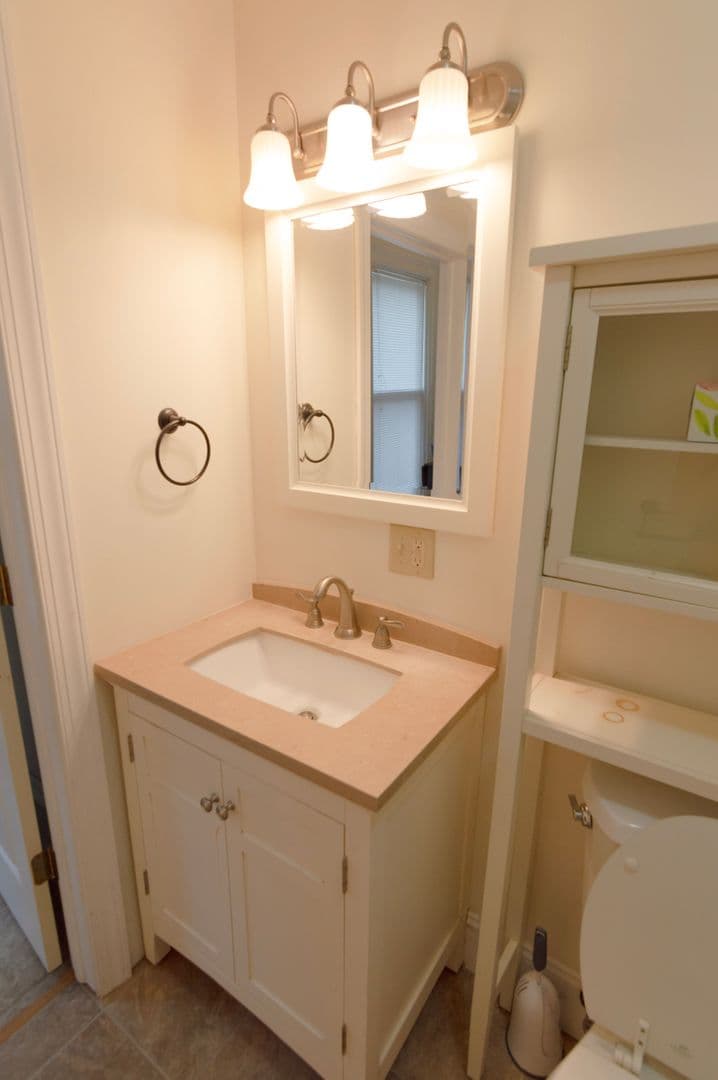 Ithaca Apartment: 232 S Geneva St