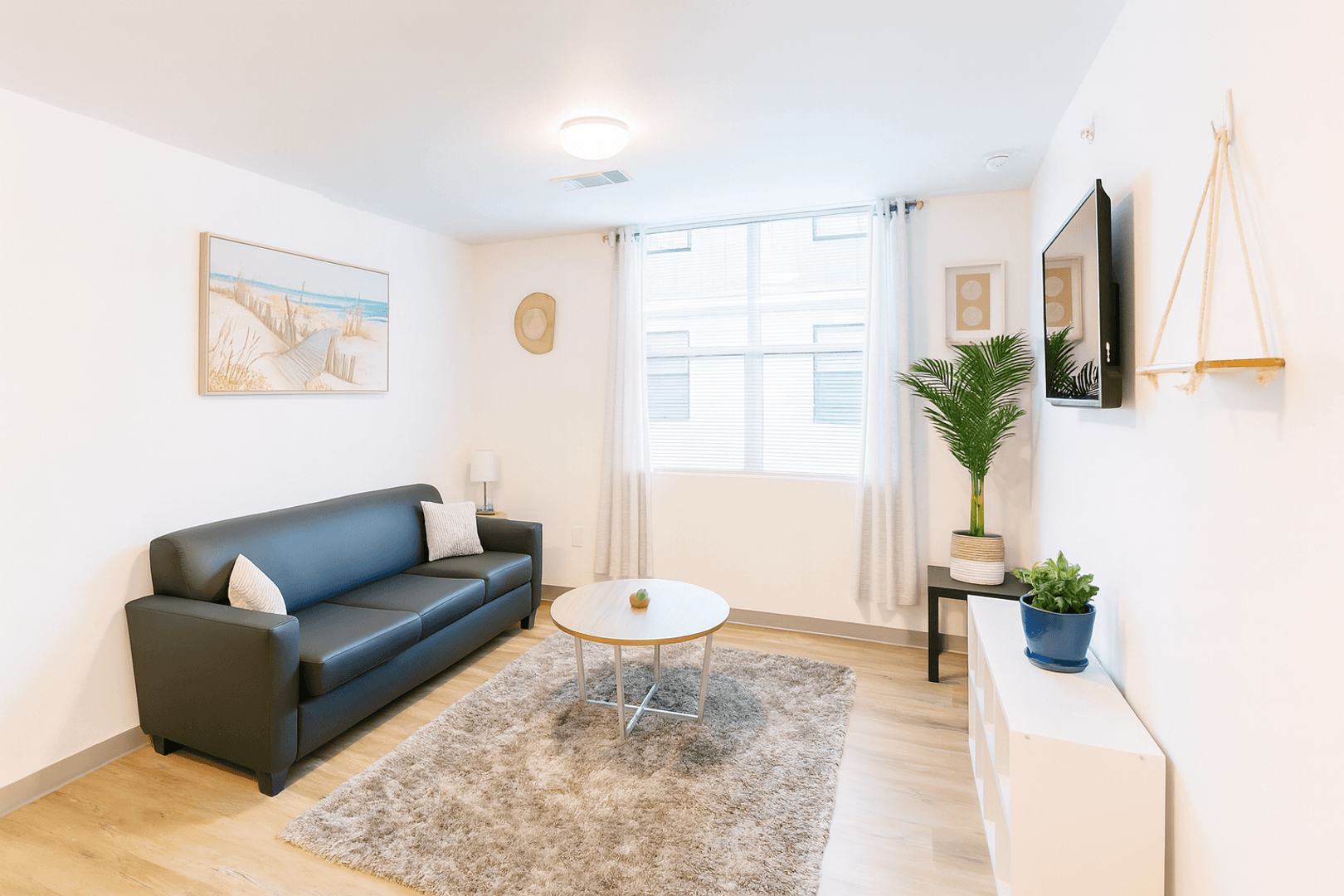 Ithaca Apartment: 815 S Aurora St