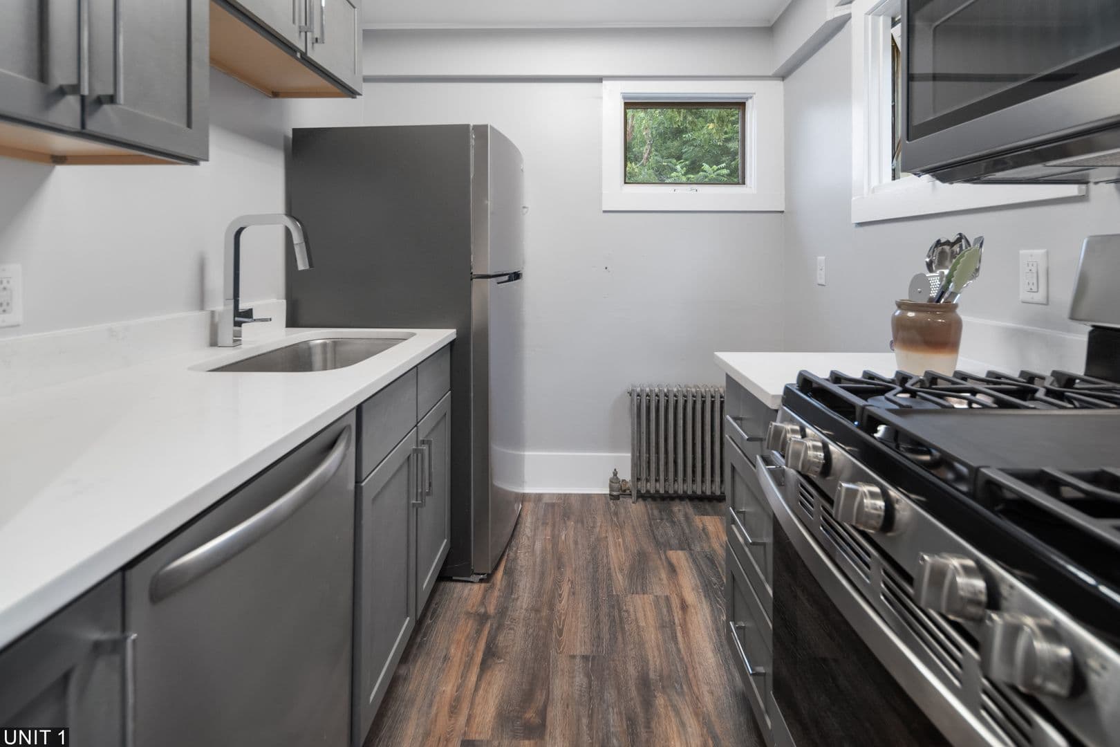 Ithaca Apartment: 109 Williams St