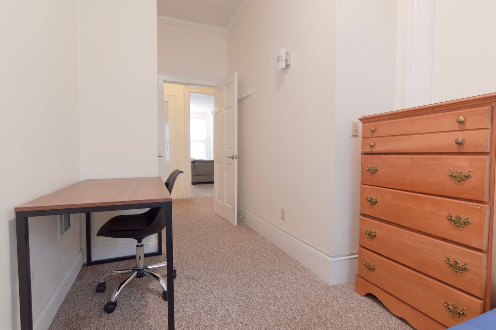 Ithaca Apartment: 232 S Geneva St