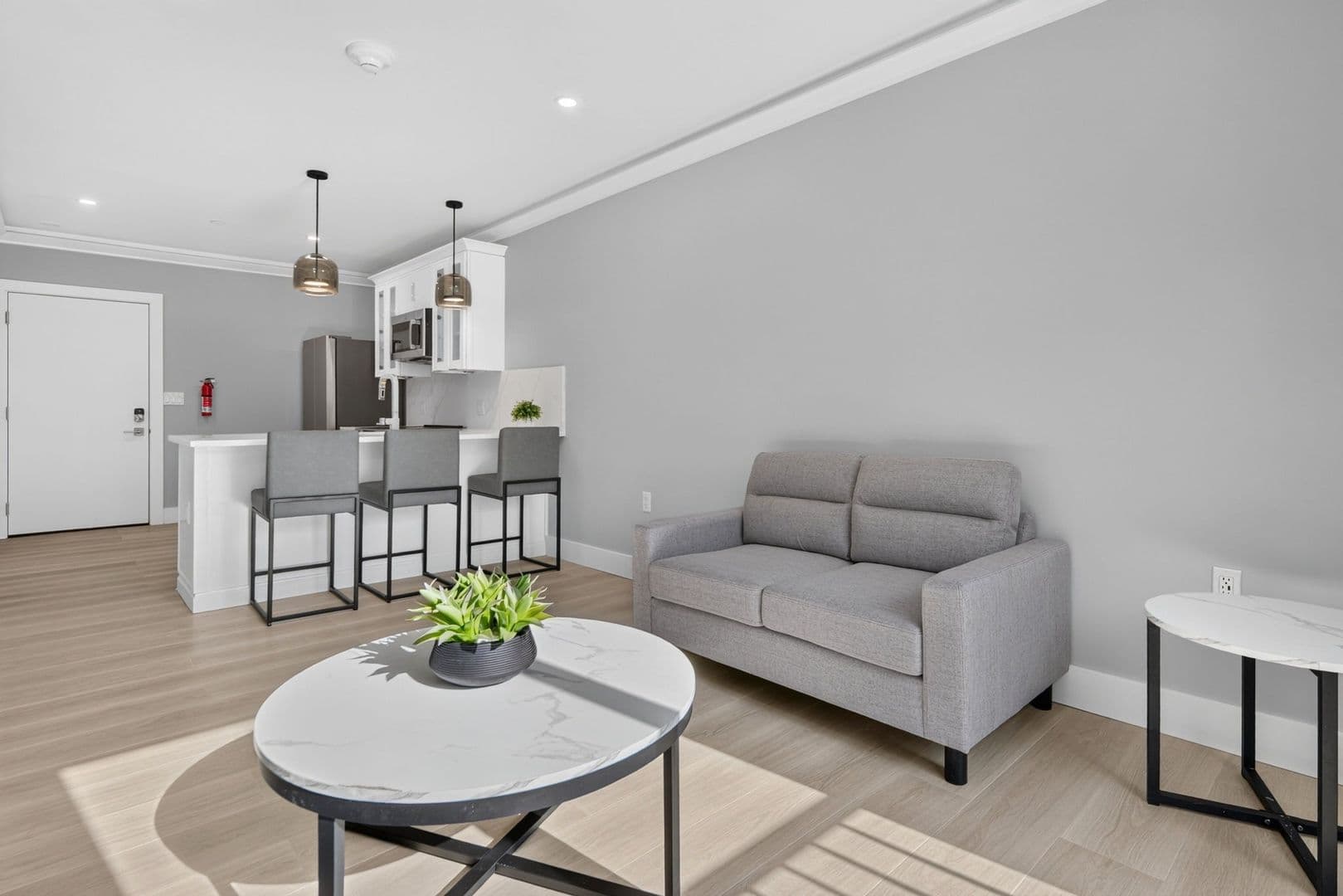 Ithaca Apartment: 201 Oak Avenue